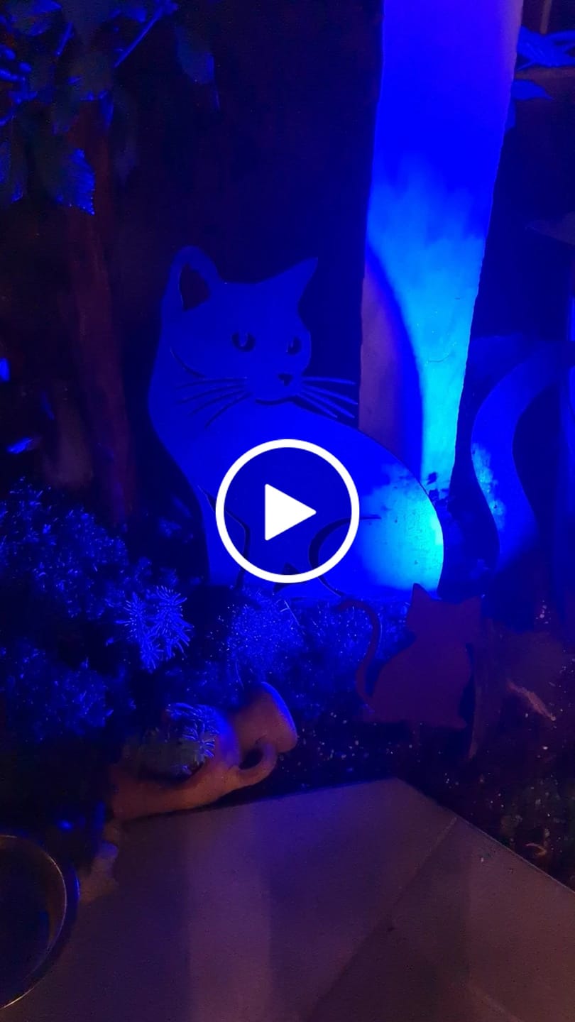 Customer video review of Gartenstecker Katze sitzend