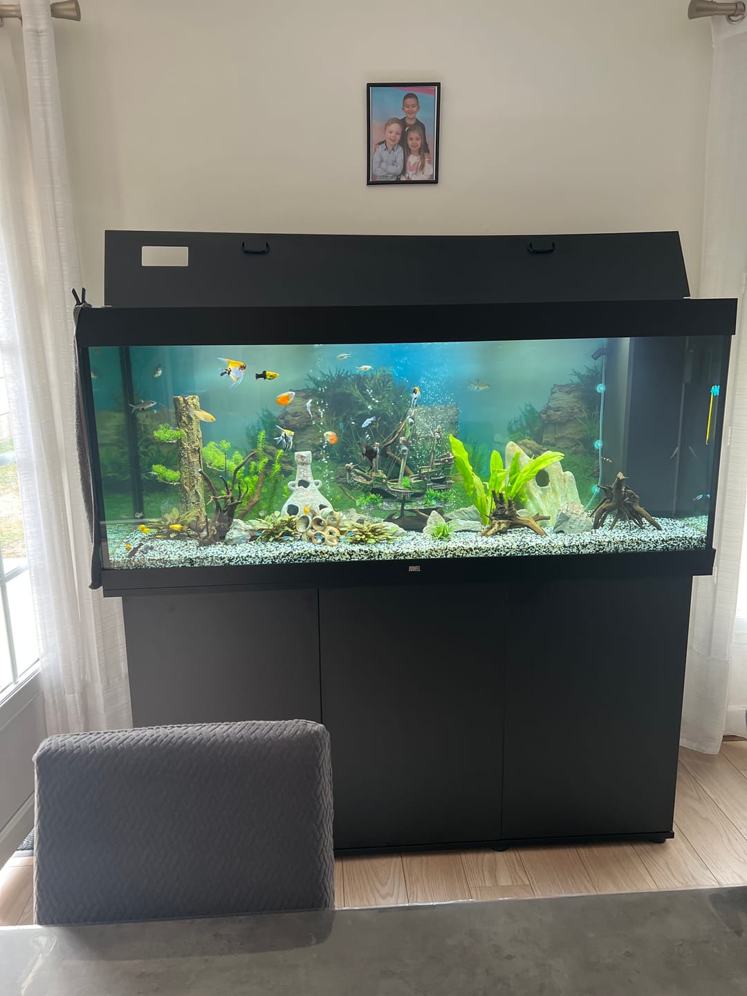 Customer photo review of Aquarium Rio 450 LED Noir Équipé JUWEL - 450L