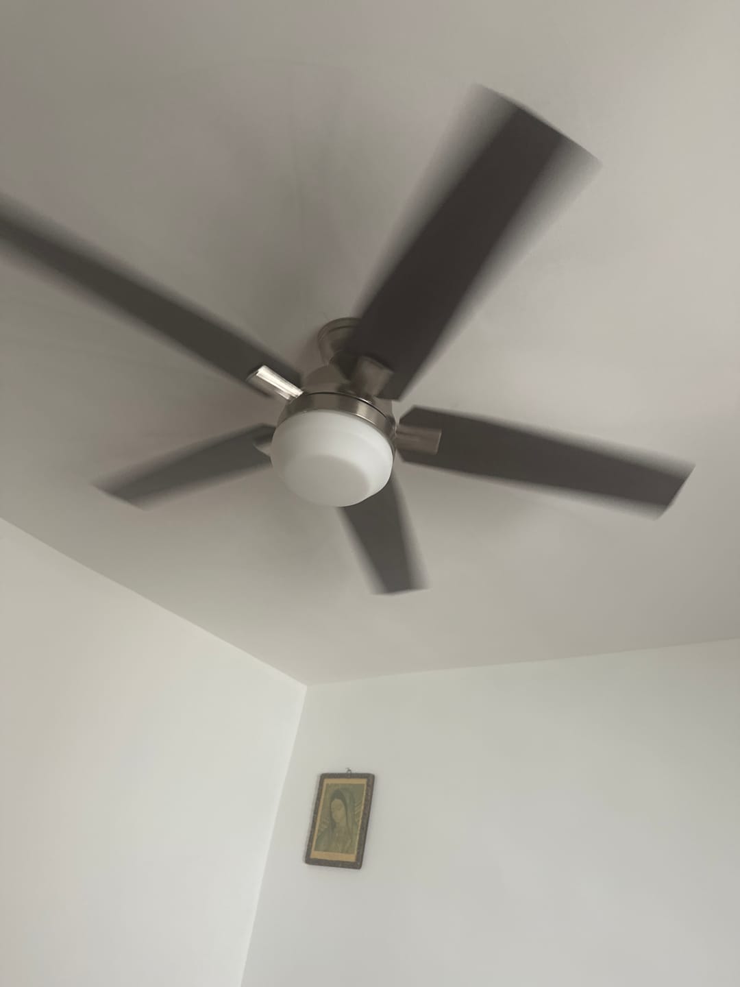Customer photo review of Ventilador de Techo Asheville con Luz LED 52 Pulgadas