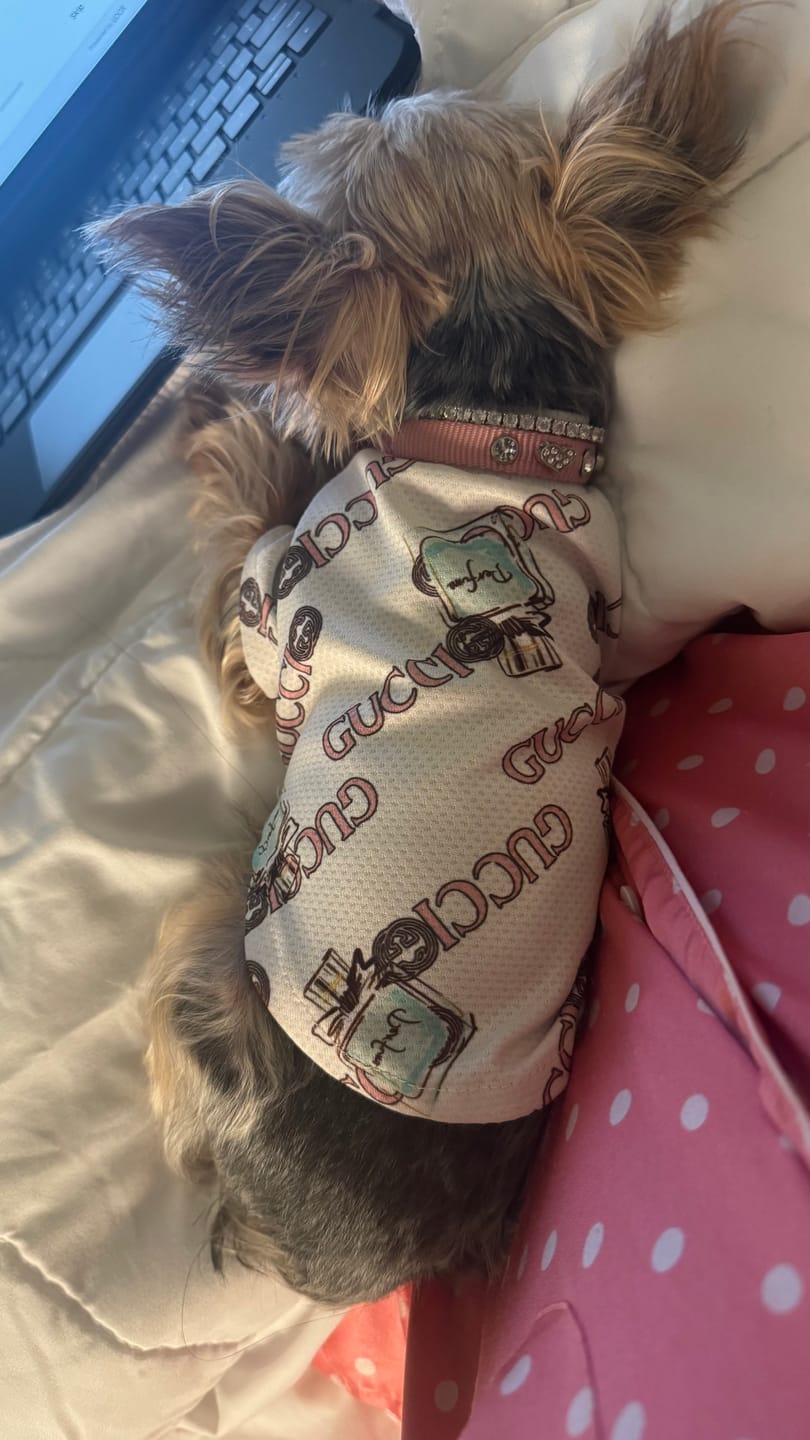 Customer photo review of 👕 Cozy Pup Shirt