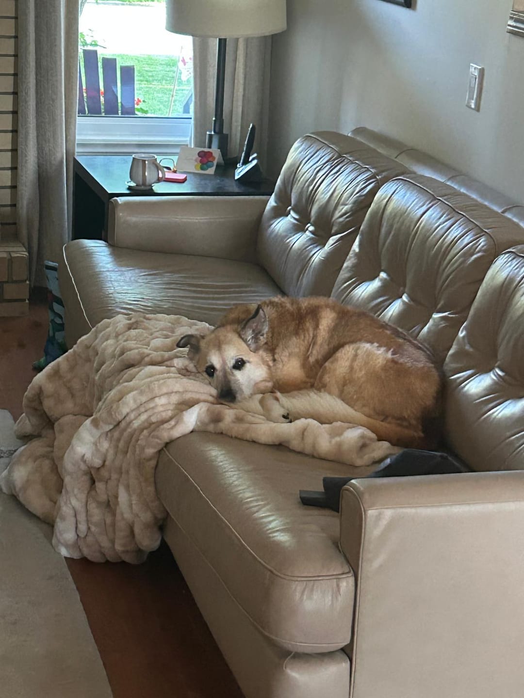 Customer photo review of Smokey Clouds Minky Blanket