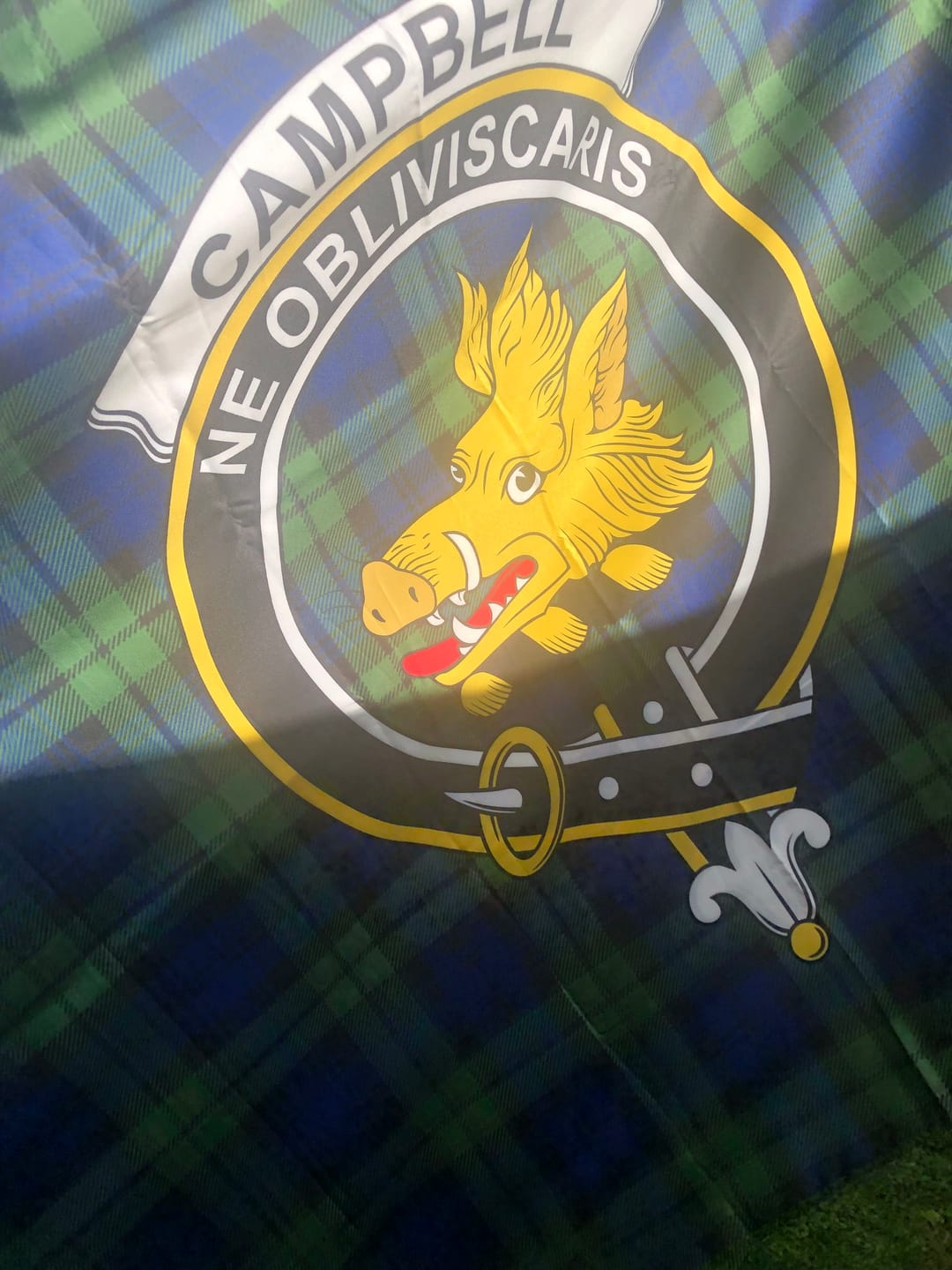 Customer photo review of Campbell Tartan House Flag with Family Crest