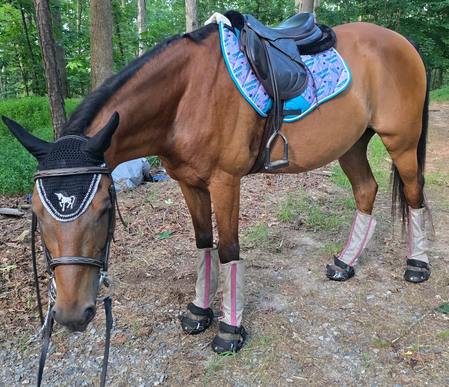 Customer photo review of "To Classic"