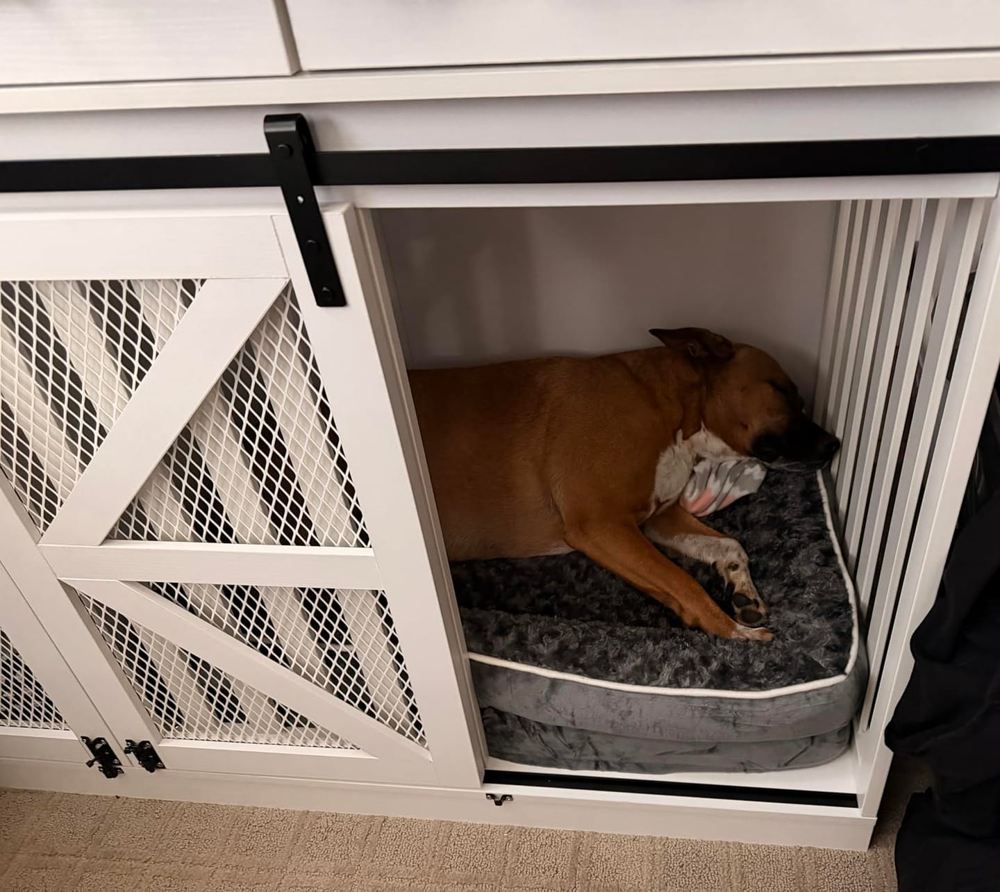 Customer photo review of The Big Loll