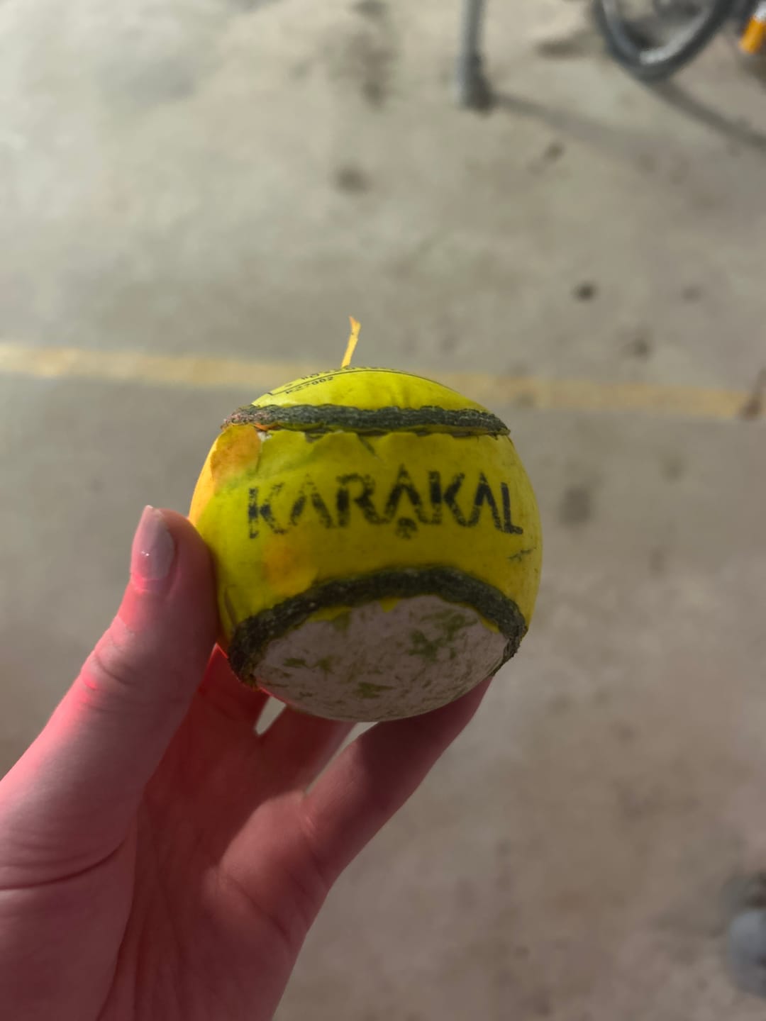Customer photo review of Karakal Training Sliotar Size 4 - Yellow