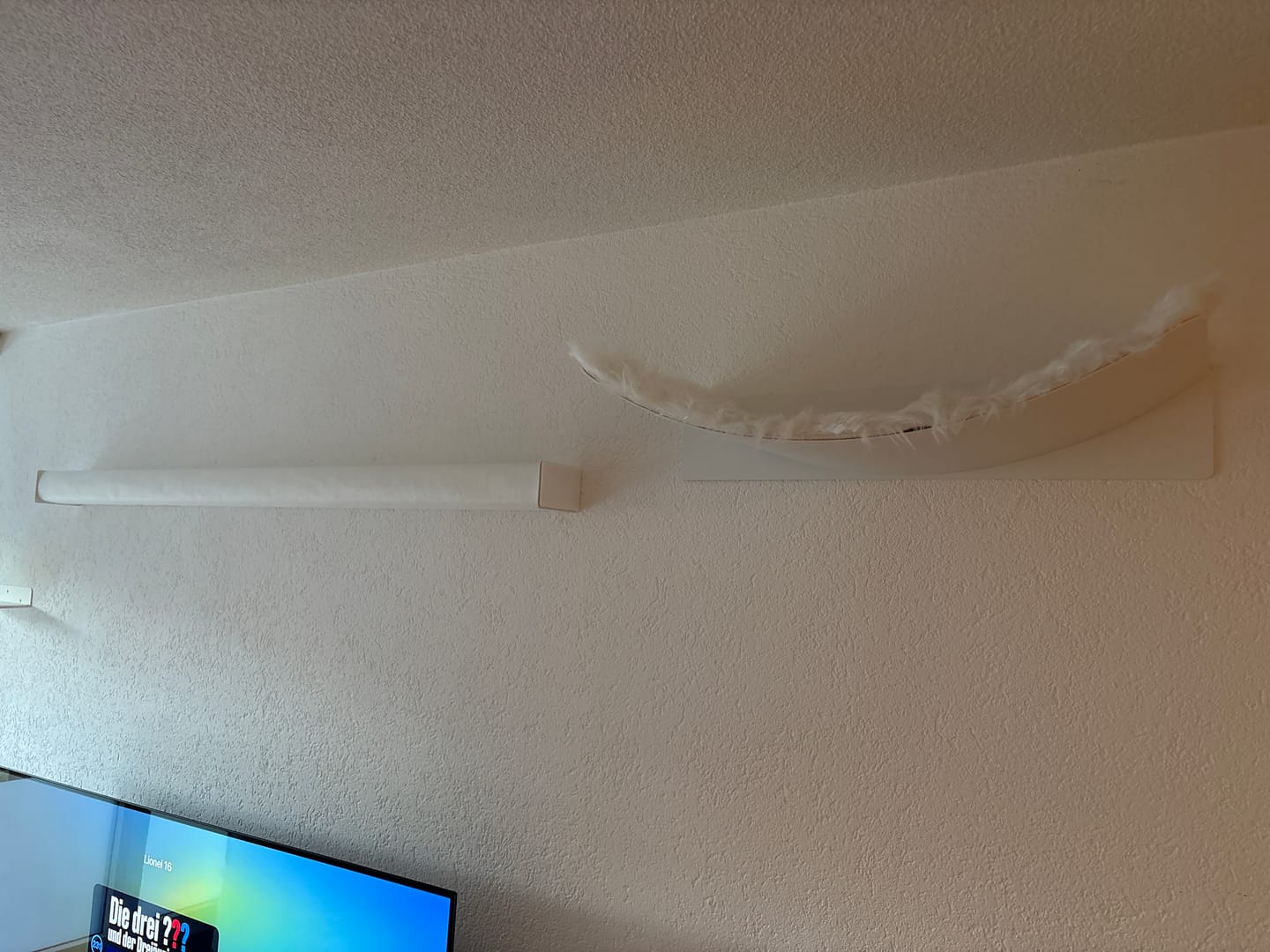 Customer photo review of STYA Katzen Kletterwand | Set Essence | Kratzstamm KS150 + XXL Hängematte WL170