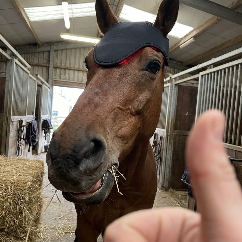 Customer photo review of HorseHalo™ HaloPoll