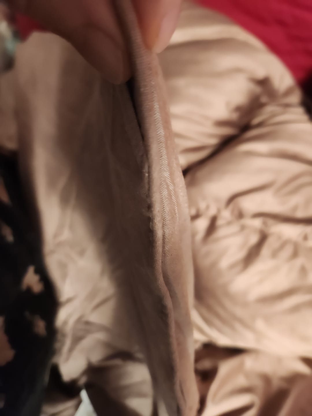 Customer photo review of European Linen Goose Down Filled Comforter
