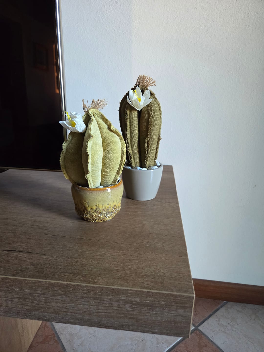Customer photo review of Sanseveria blu riflessi argento