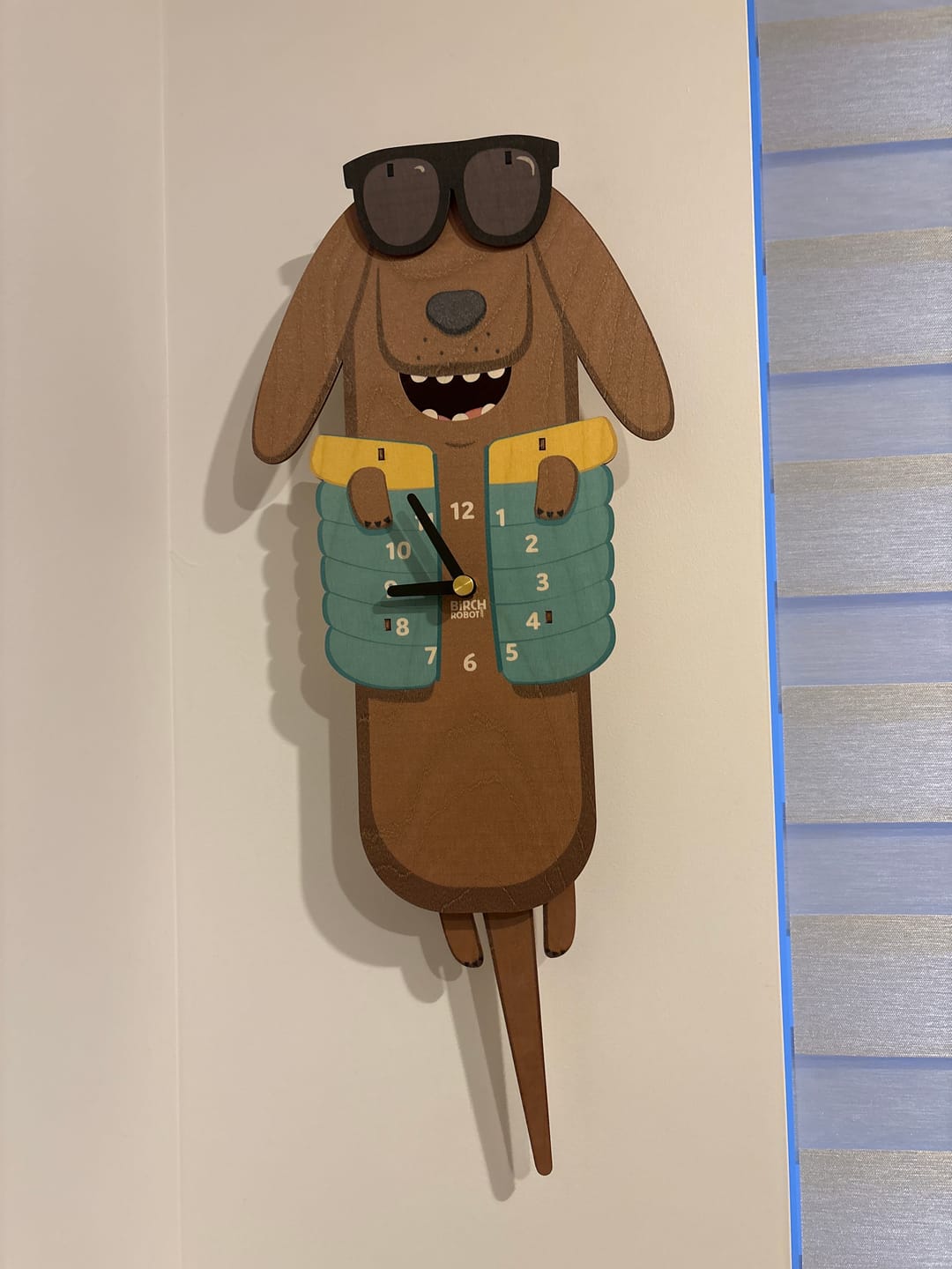 Customer photo review of Sunglasses