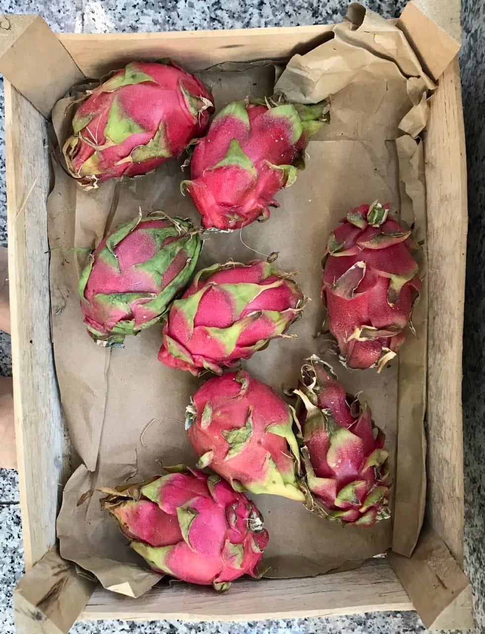 Customer photo review of Drachenfrucht rot von Julian Aktionspreis % 2kg