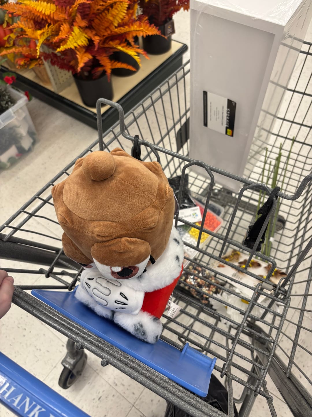 Customer photo review of Queenie Plush