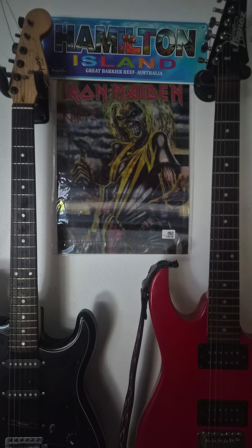 Customer photo review of RockDepth Studio™ 3D art alive on your wall