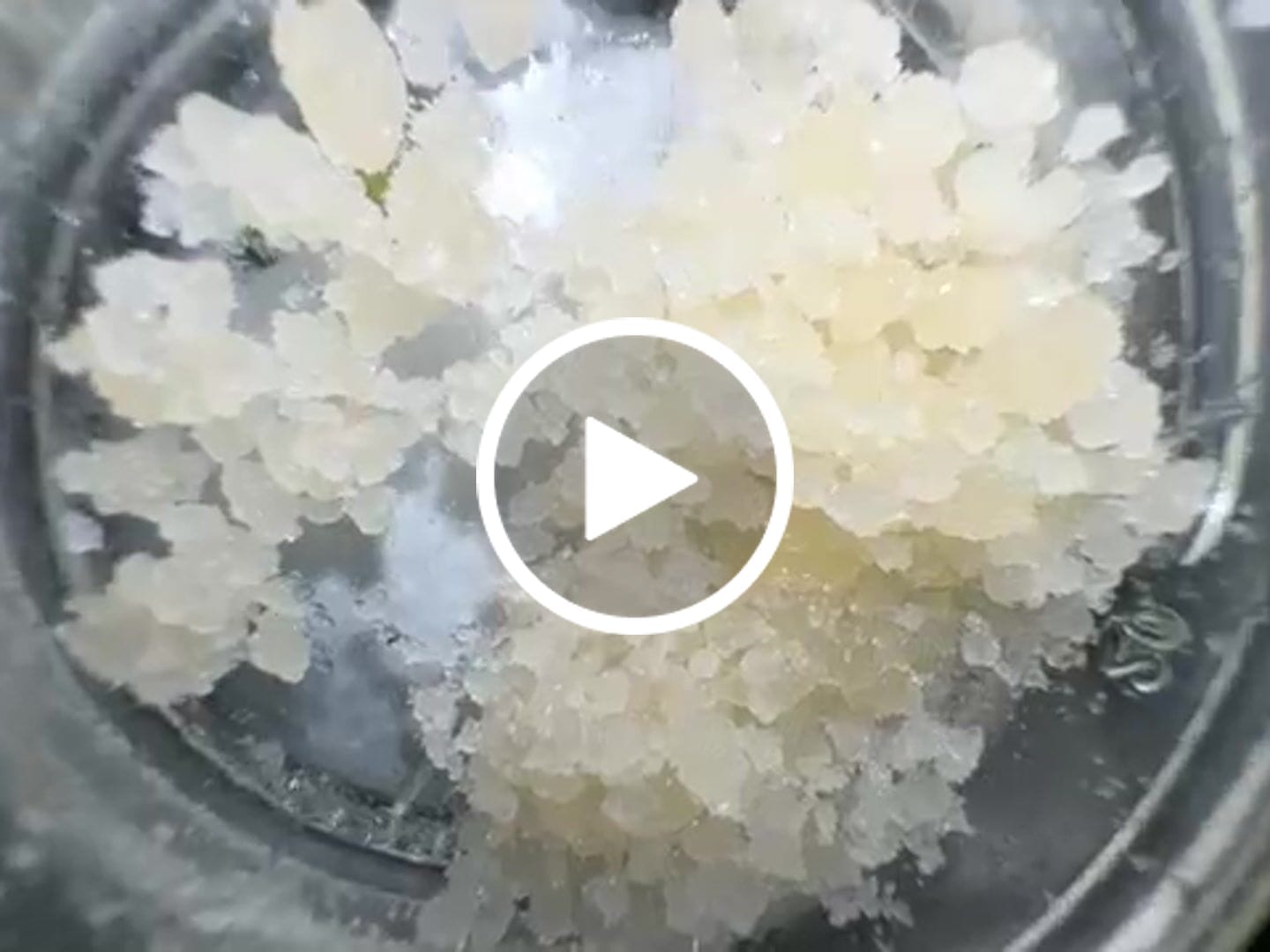 Customer video review of THCa Sugar Diamonds
