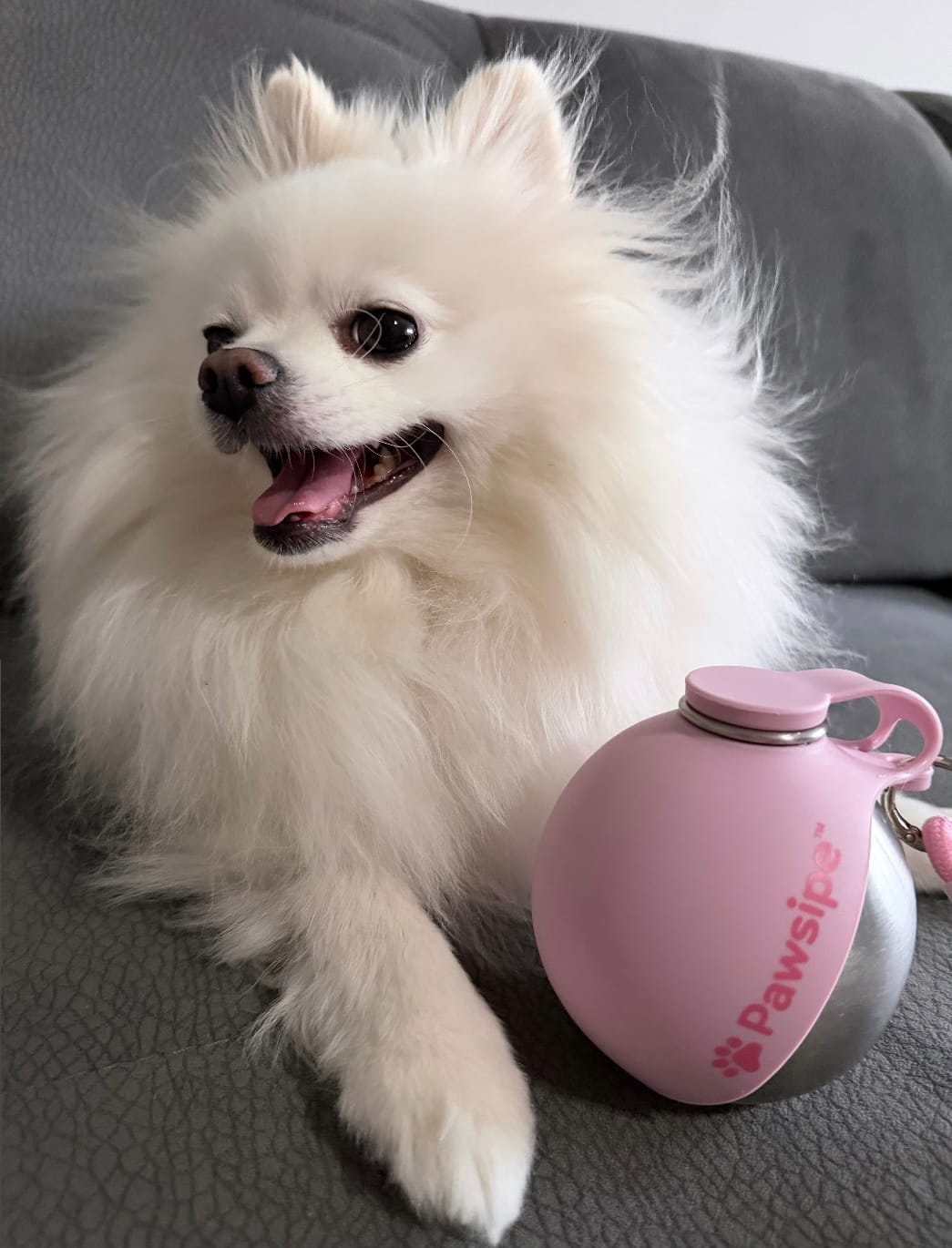 Customer photo review of PawSipe™ Çelik Köpek Yürüyüş Matarası