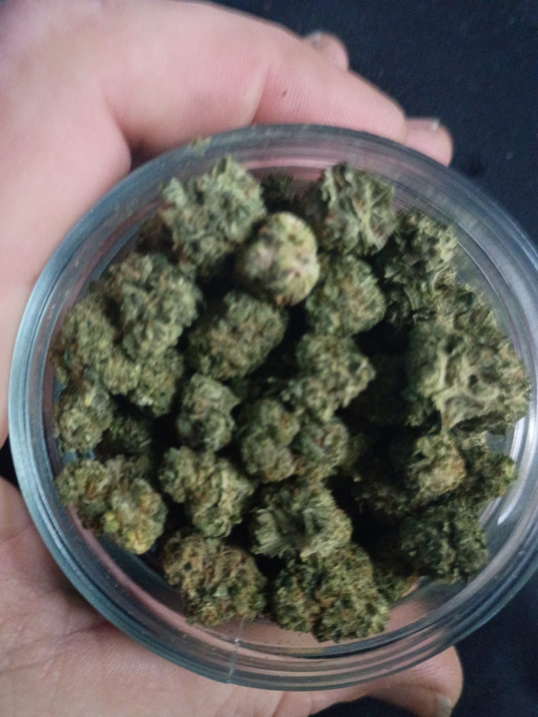 Customer photo review of Value Indoor Smalls