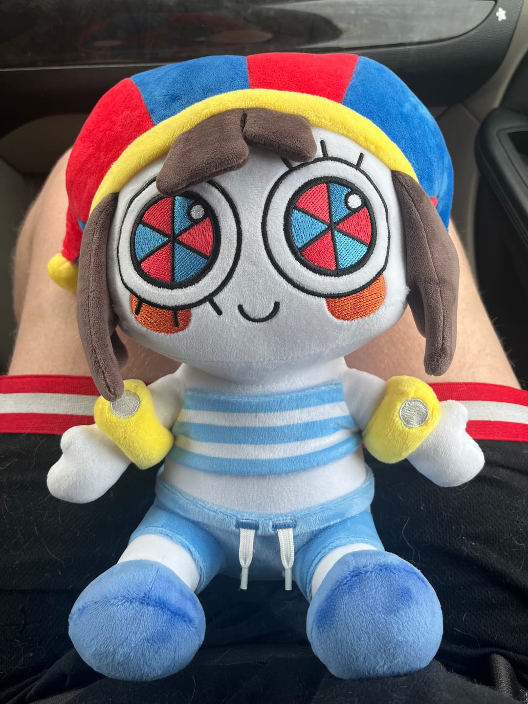 Customer photo review of Beach Pomni Plush