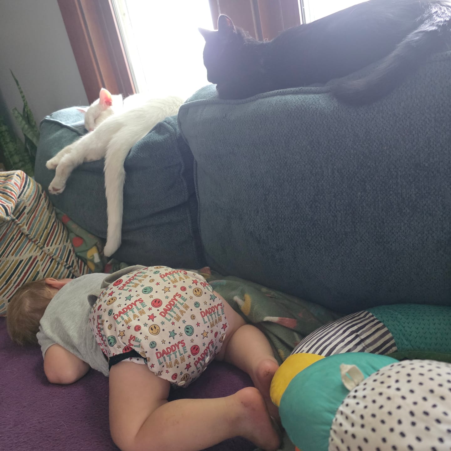 Customer photo review of One Size Cover Cloth Diaper