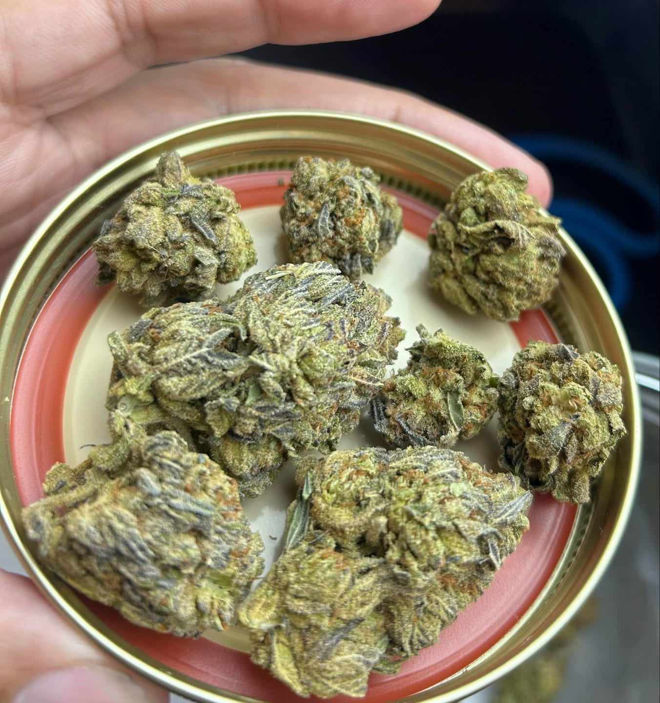 Customer photo review of Good Day - 14 Grams - Ice Cream Cake - Indica