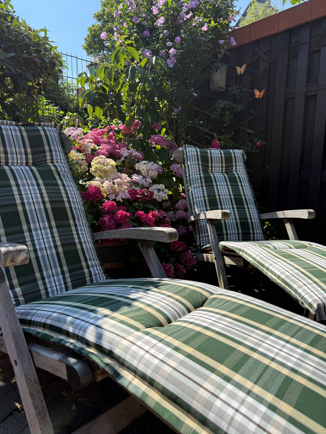 Customer photo review of Auflagen für Deckchair