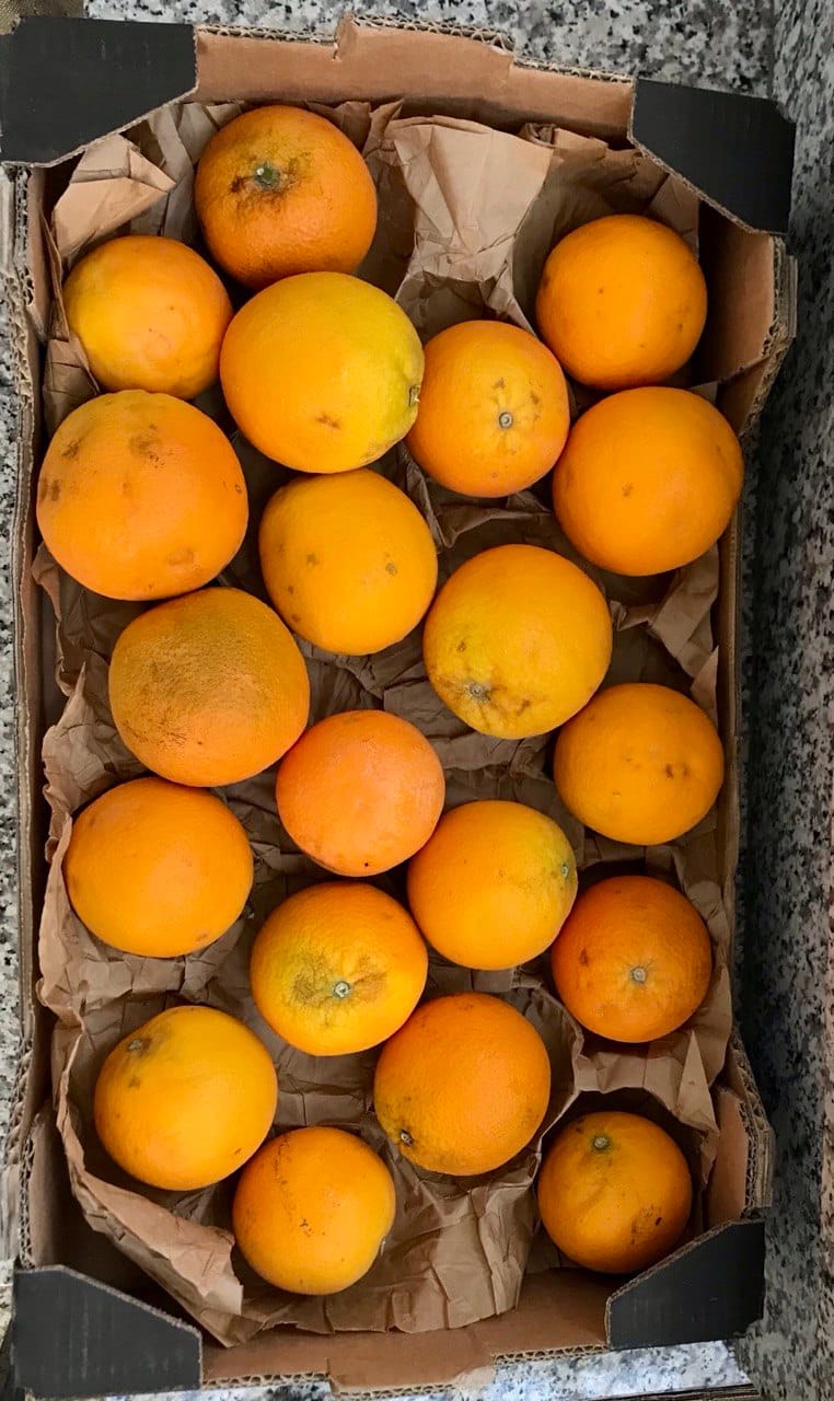 Customer photo review of Orangen Lane Late Bio von Apostolis Kreta 4kg Box