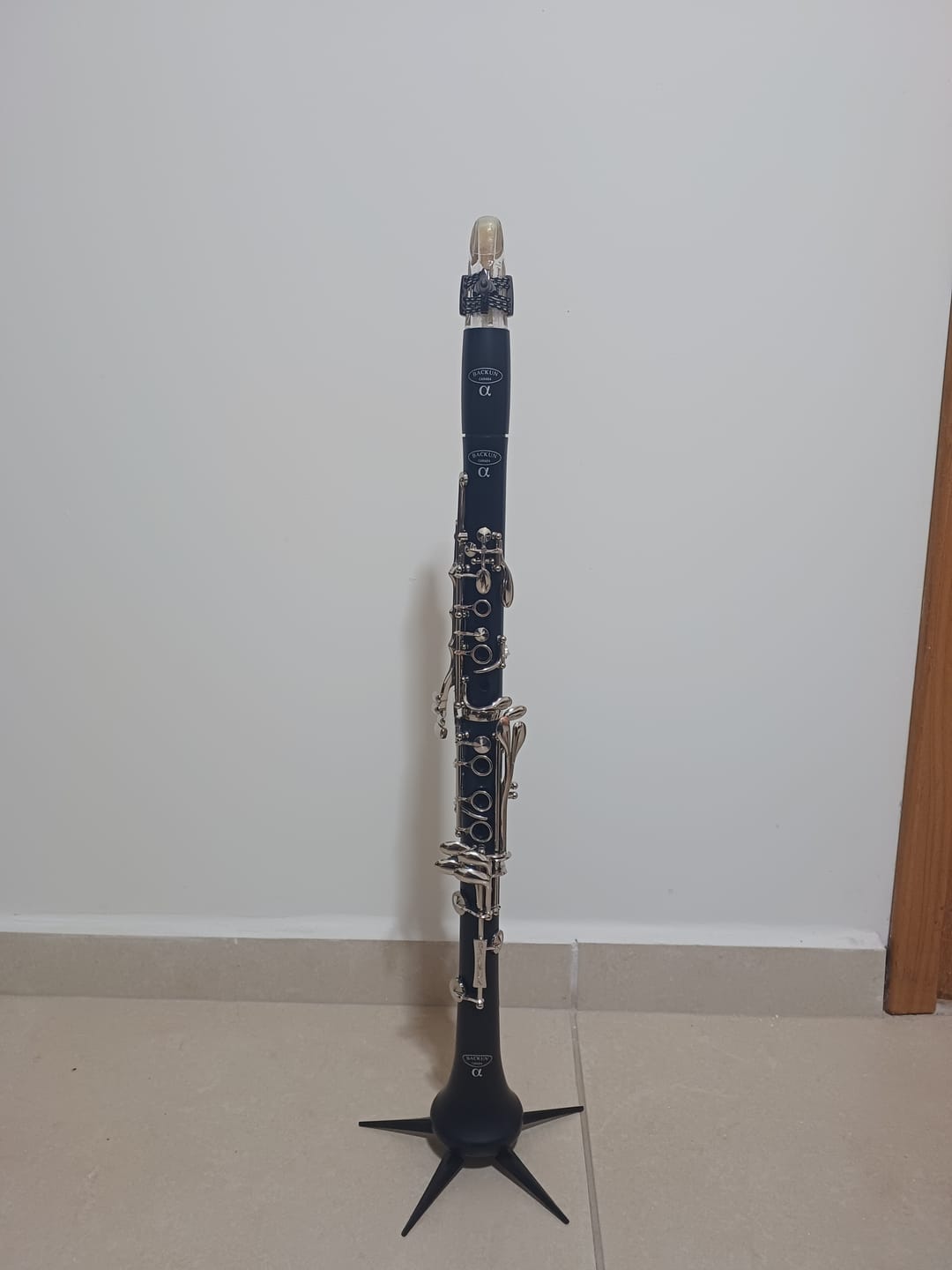 Customer photo review of Alpha Bb Clarinet