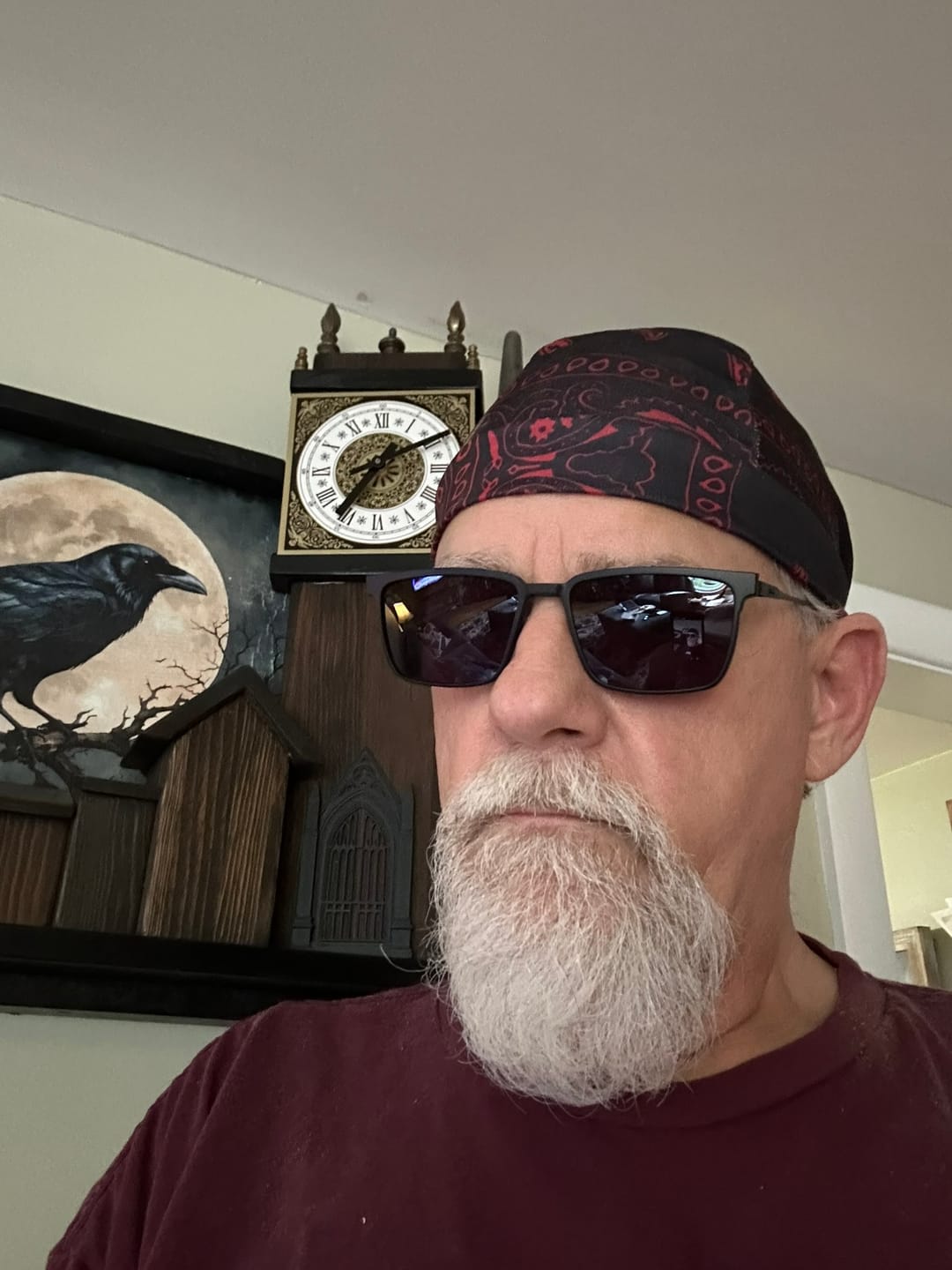 Customer photo review of Gavin Magnetic Clip-on