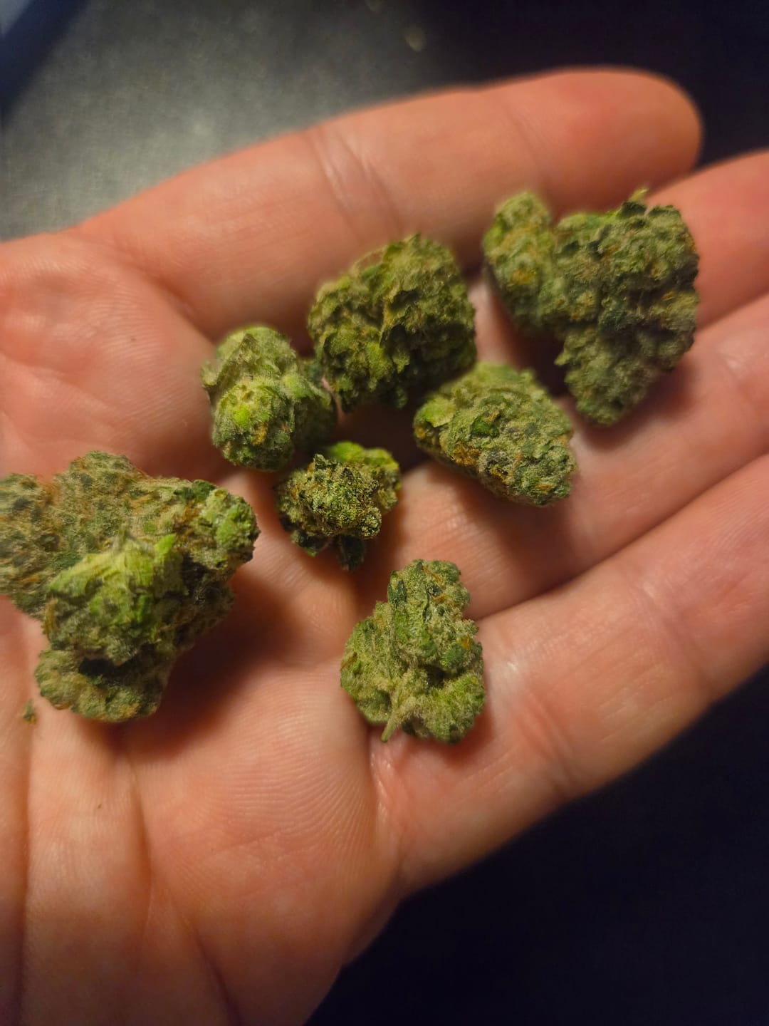 Customer photo review of Cereal Milk THCA Flower (Budget)