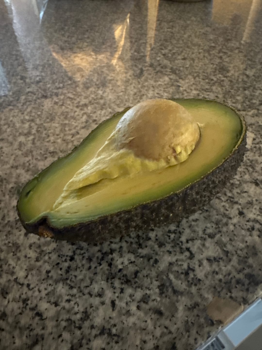Customer photo review of 10 Kg Palta Hass Premium