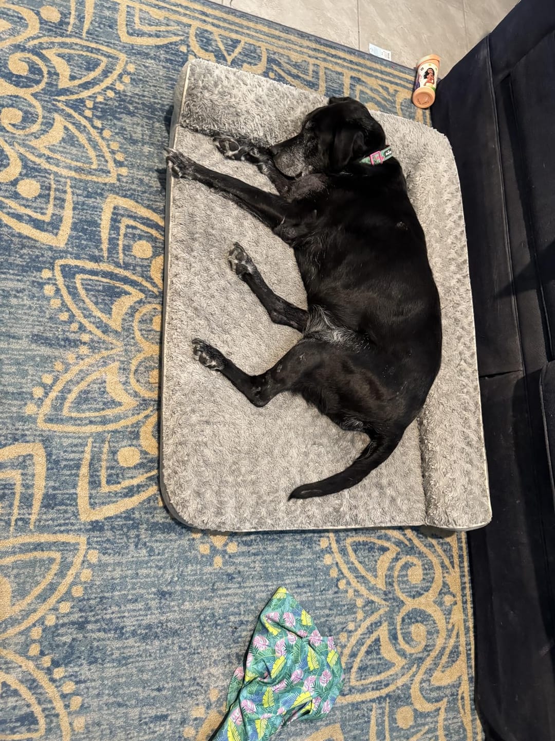 Customer photo review of The Big Loll