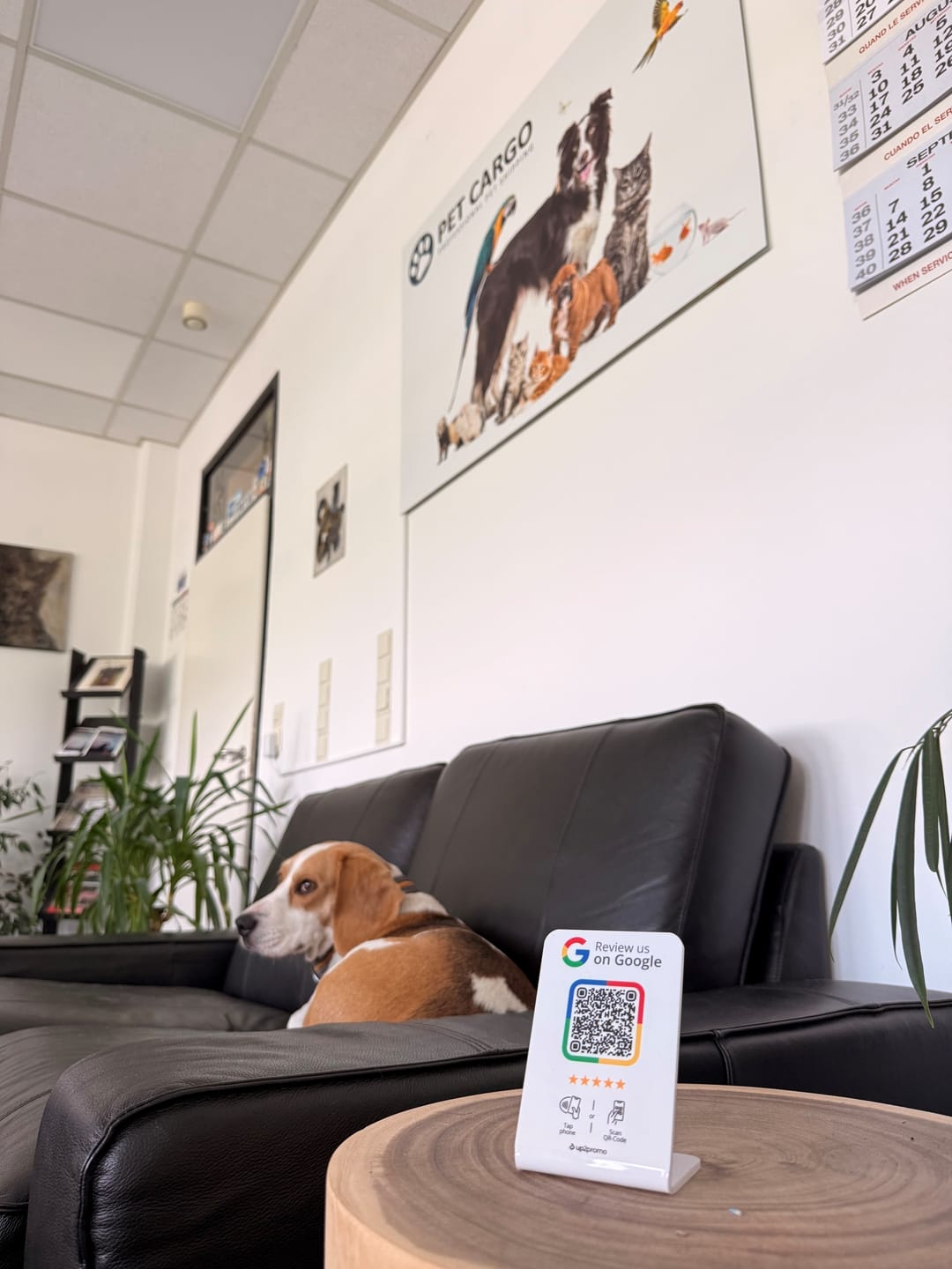 Customer photo review of Google Bewertung Aufsteller mit NFC & QR-Code