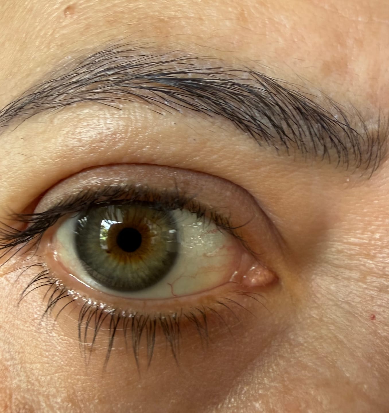 Customer photo review of Suero para pestañas y cejas