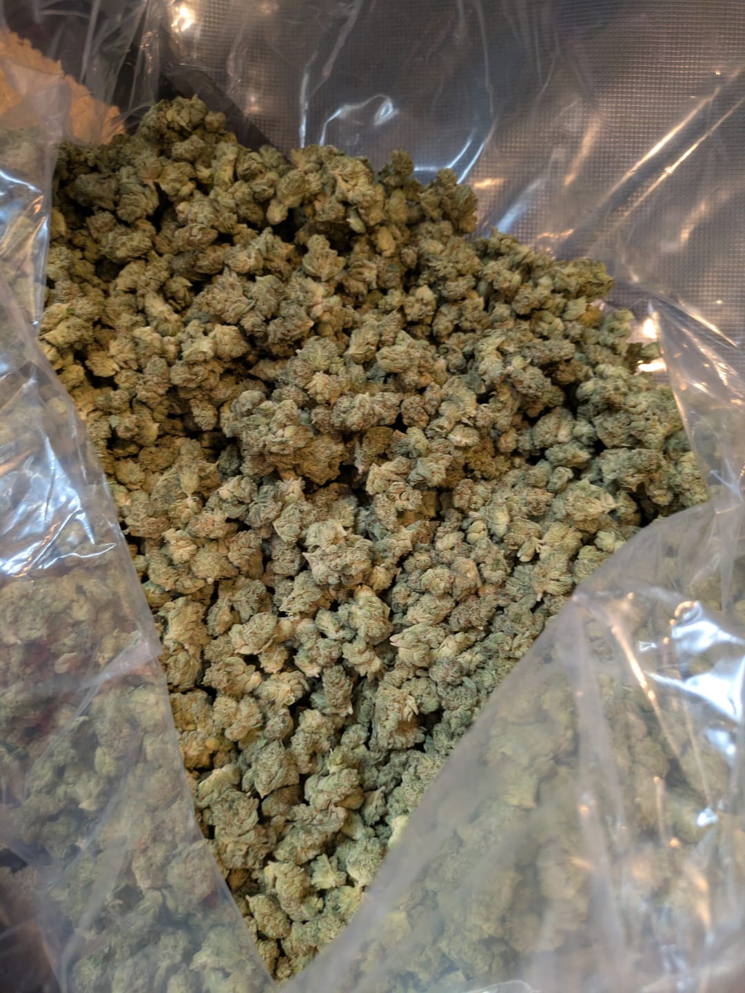 Customer photo review of Apple Banana Minis - Bulk Minis - Hybrid