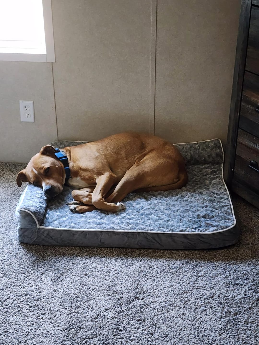Customer photo review of The Big Loll