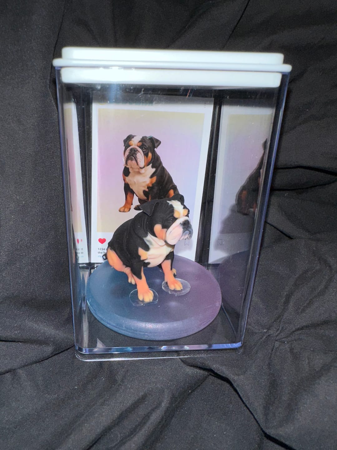Customer photo review of Dust-Proof Acrylic Display Case