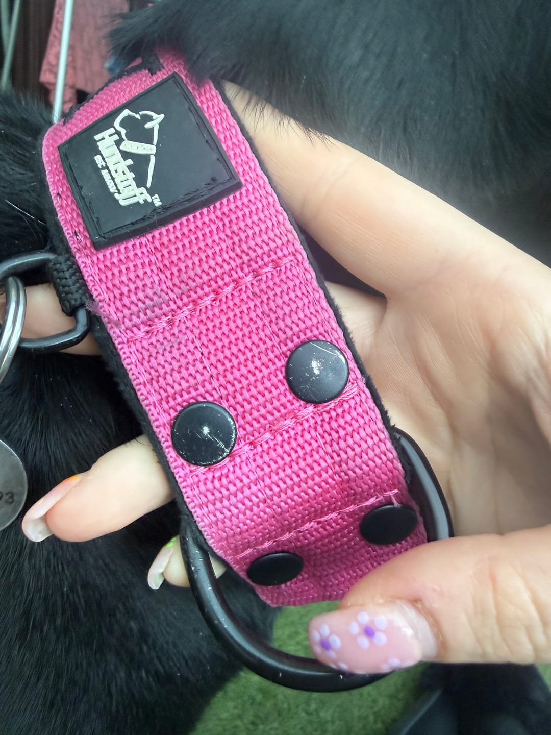 Customer photo review of Obroża dla psa z imieniem - Personal Extreme