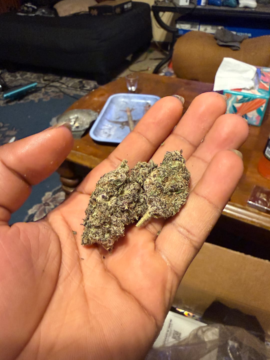 Customer photo review of Garlic Cookies Indoor - Bulk - Hybrid