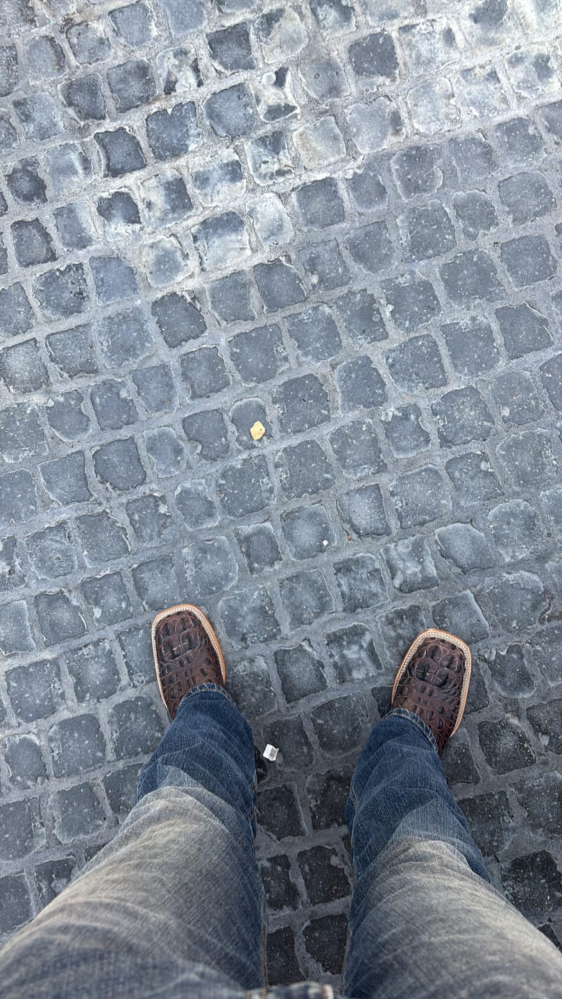 Customer photo review of Brown Caiman Neck Leather Boots - Square Toe