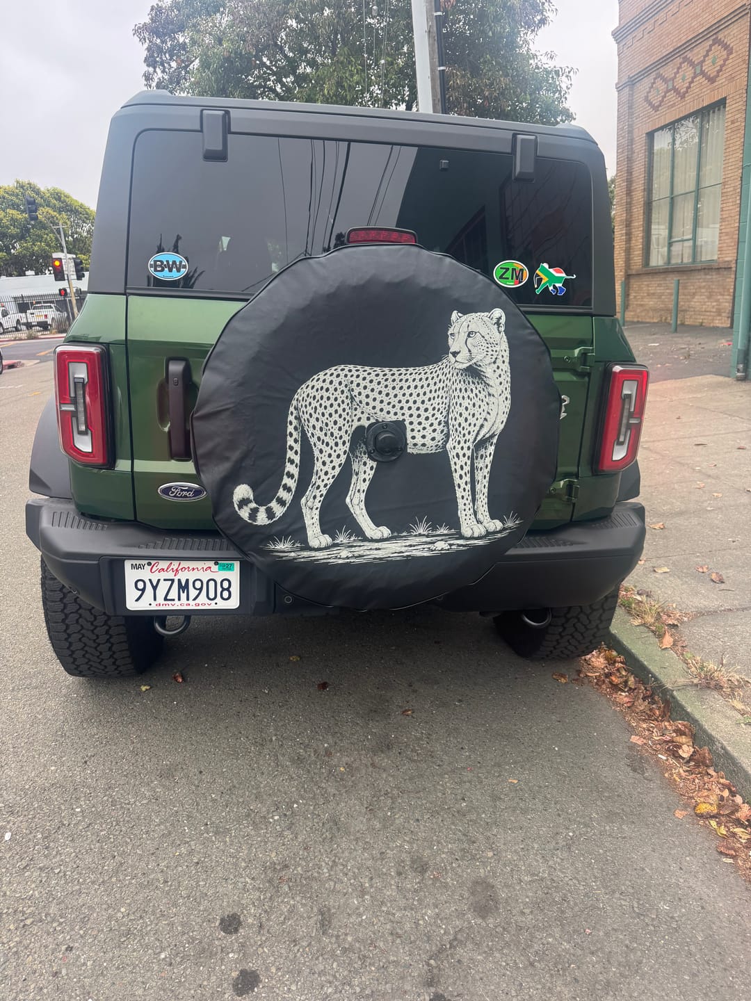 Customer photo review of CUSTOM DESIGN Tire Cover