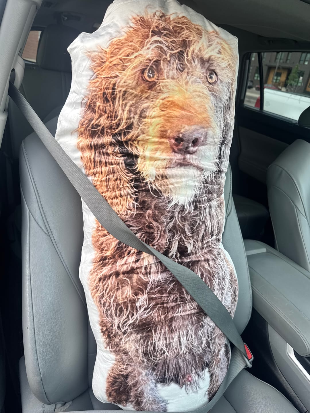Customer photo review of Custom Dog Shaped Memorial Pillow for Pet Owners from Your Pet Picture