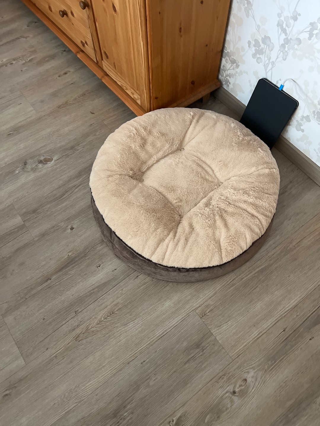 Customer photo review of Orthopädische Hundeinsel "Easy"