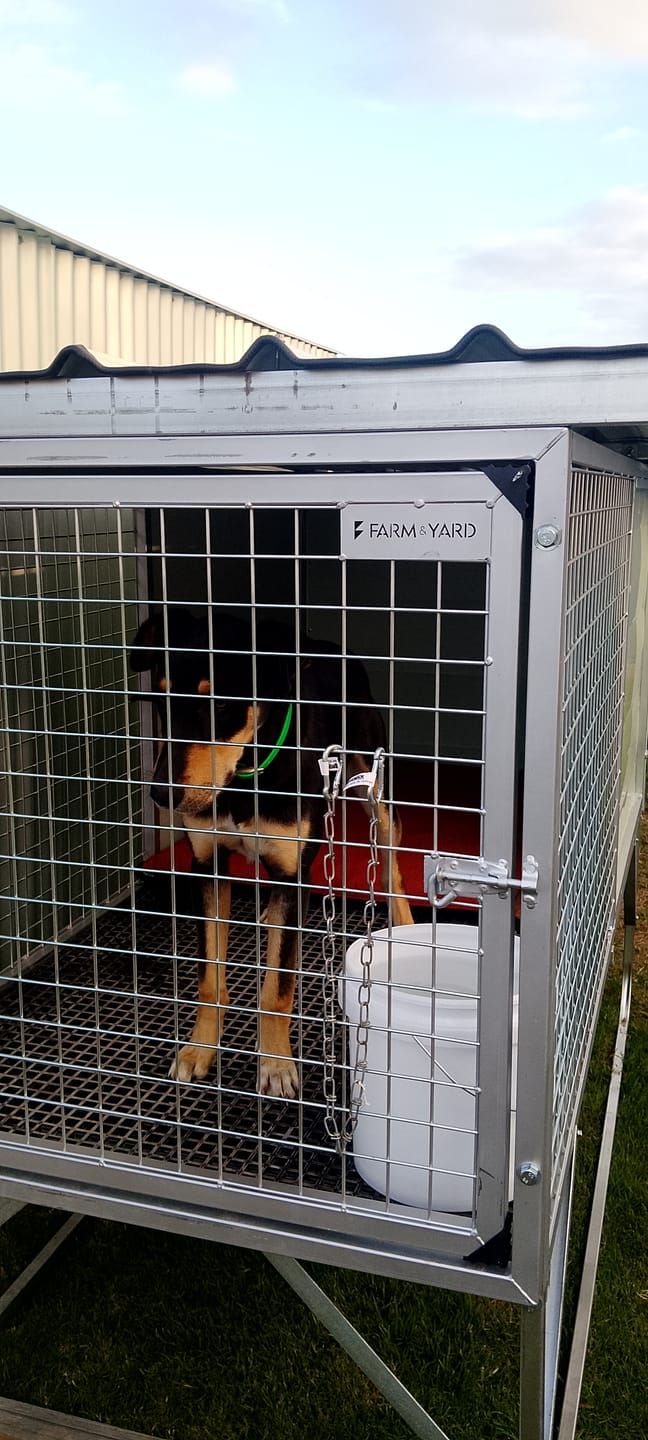 Customer photo review of Raised Safety Kennel
