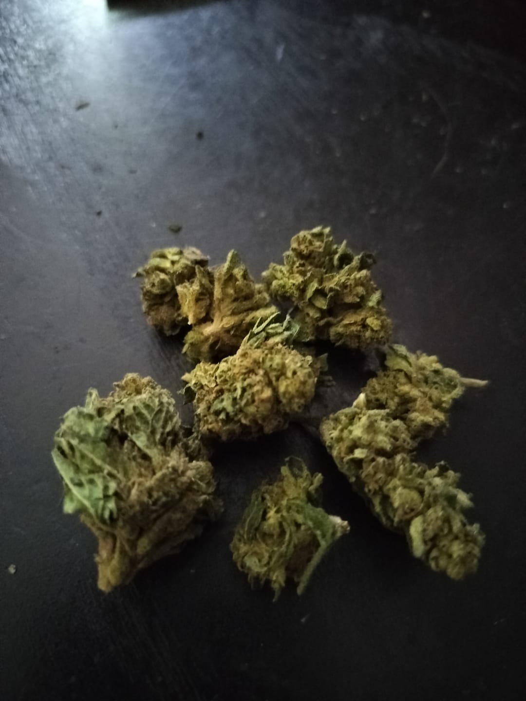 Customer photo review of Gelato 41 - 28 Grams - Hybrid