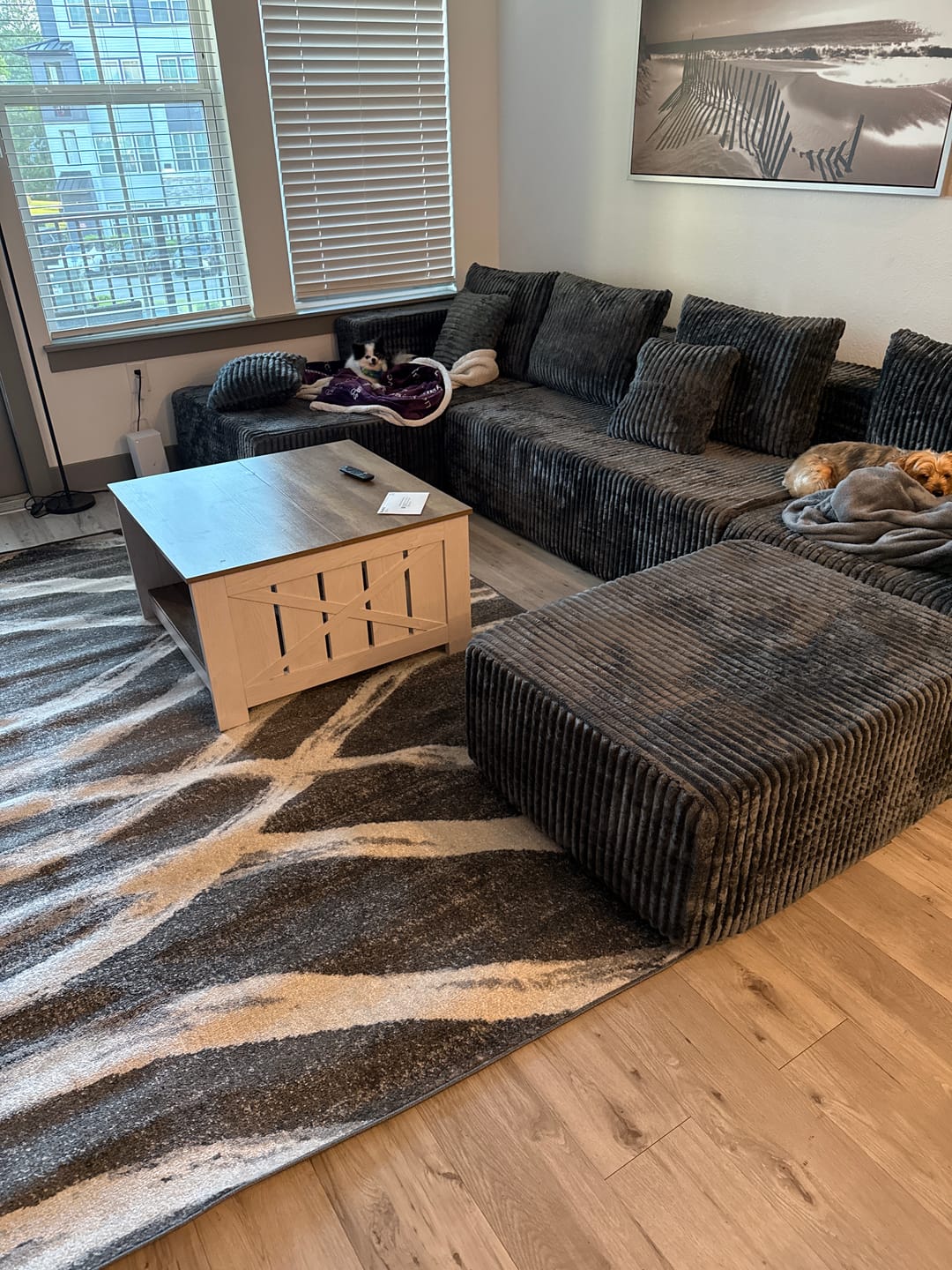 Customer photo review of U Shape Corduroy Modular Cloud Sectional Sofa 🛋️📦 | No Assembly 🚚 Ships in 3–7 days
🔥 Limited stock