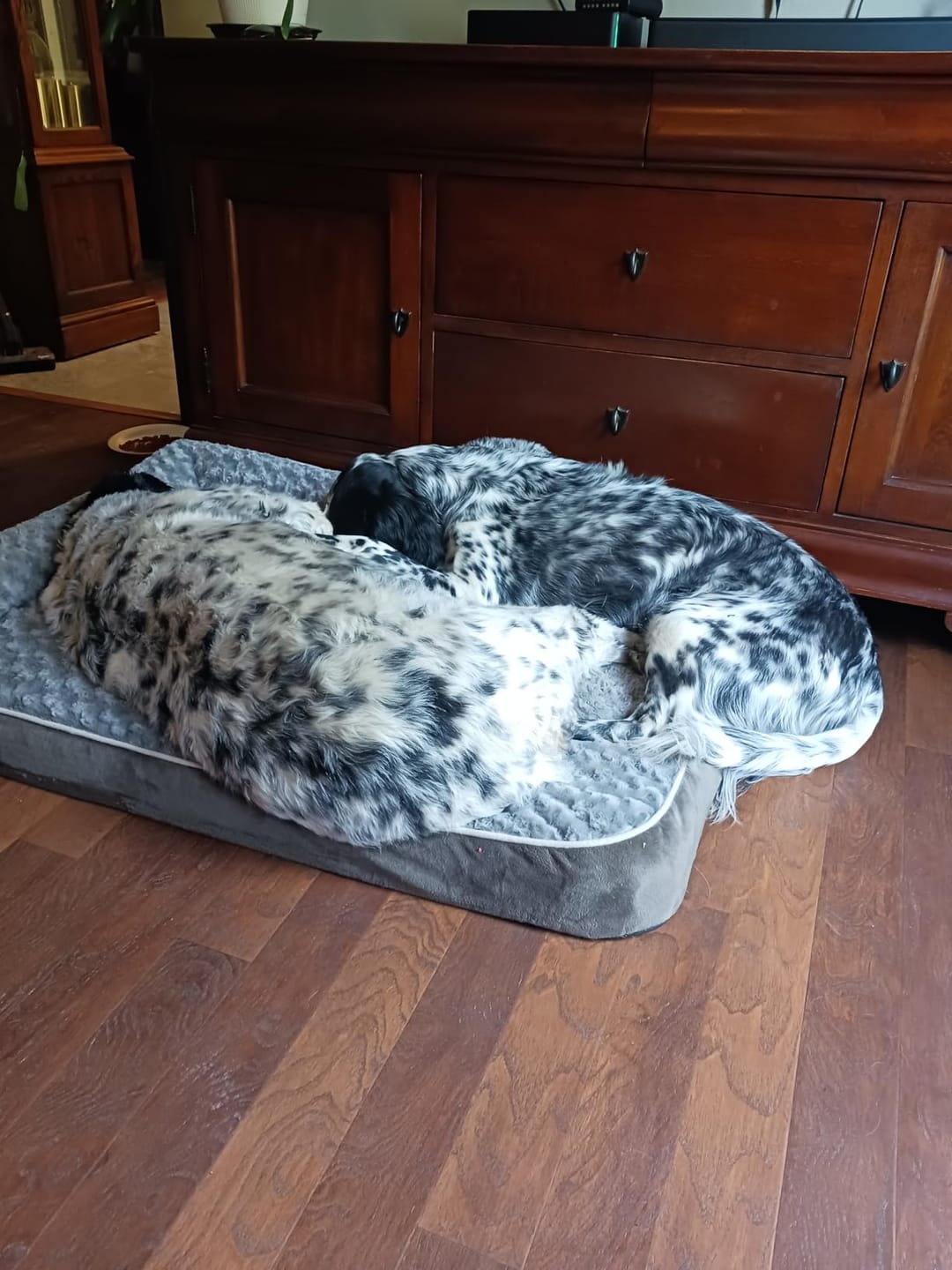 Customer photo review of The Big Loll