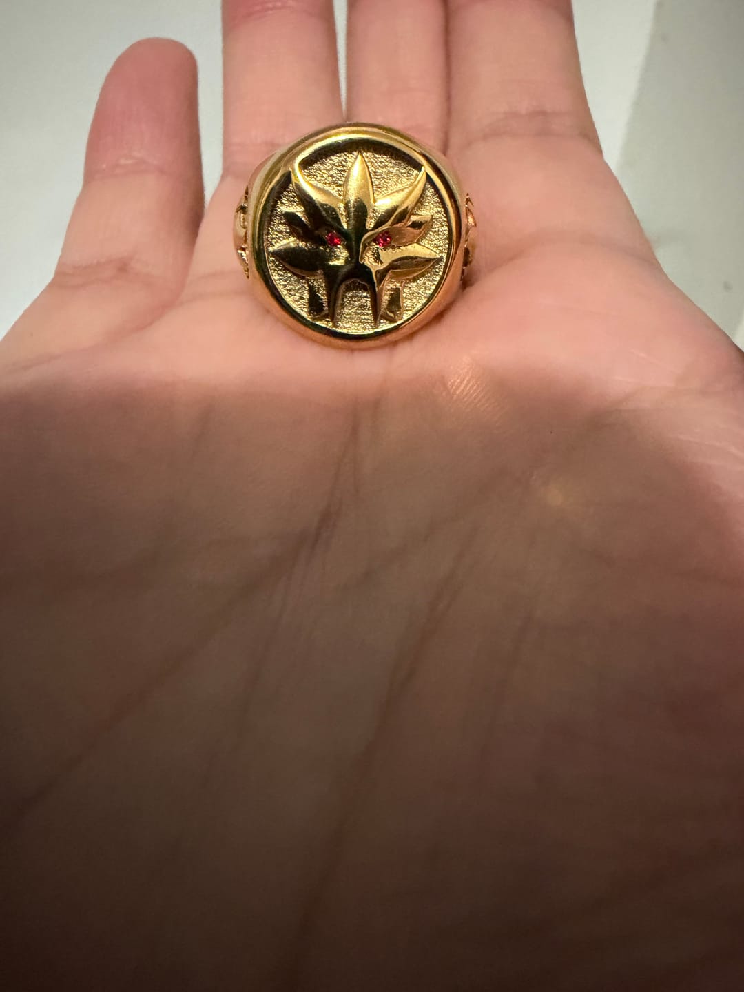 Customer photo review of ENTEI [PRE-ORDER]