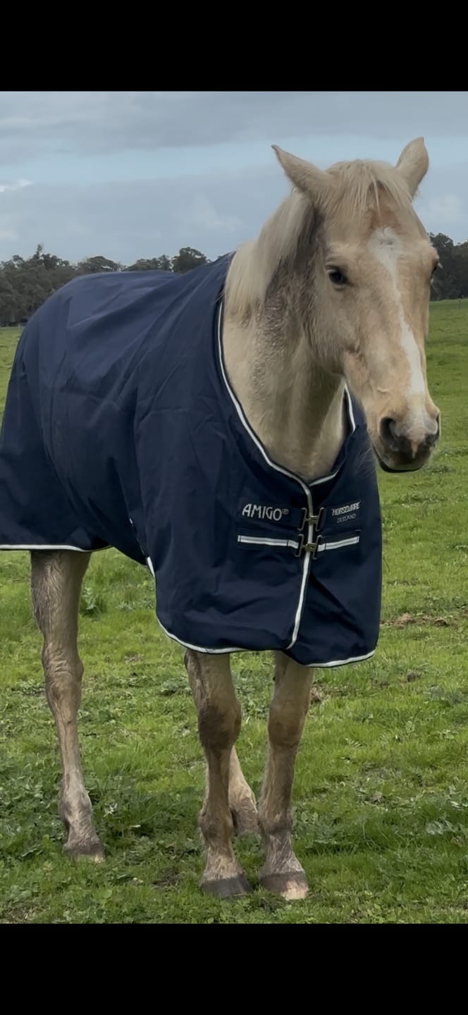 Customer photo review of Amigo Ripstop 900D Turnout Fleece Lined 50g