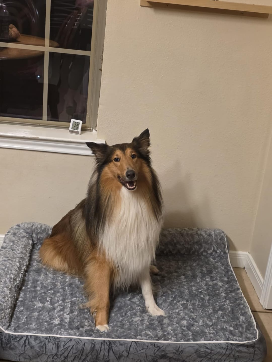 Customer photo review of The Big Loll