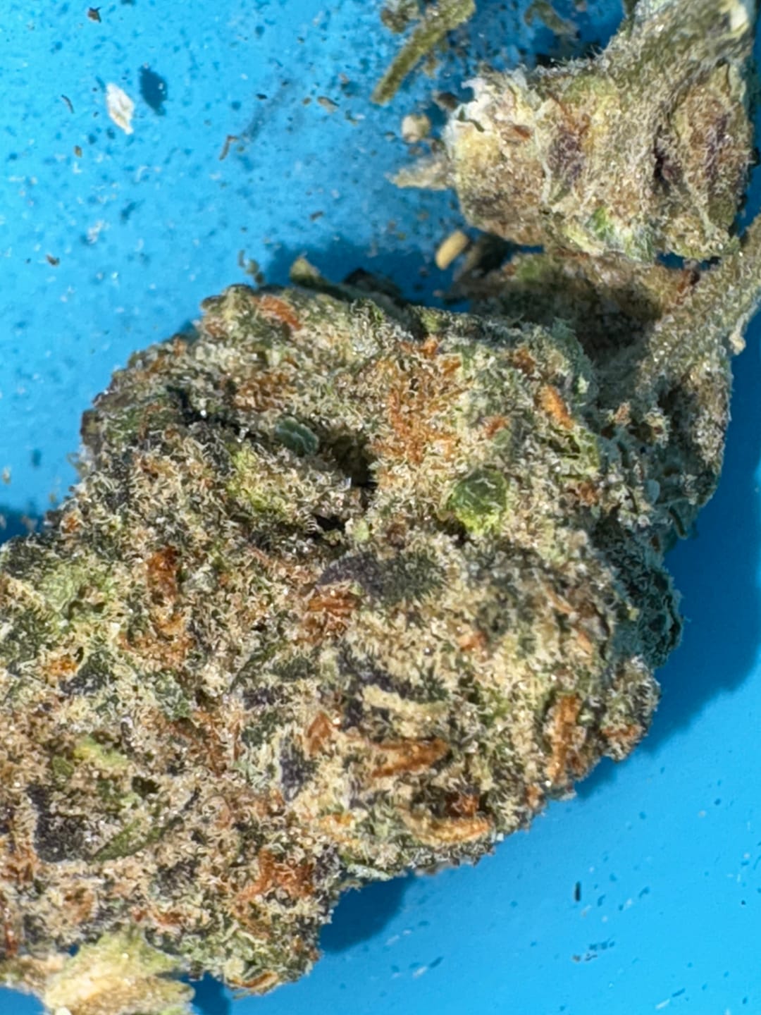 Customer photo review of Tokyo Drift (Indoor) - THCA Flower