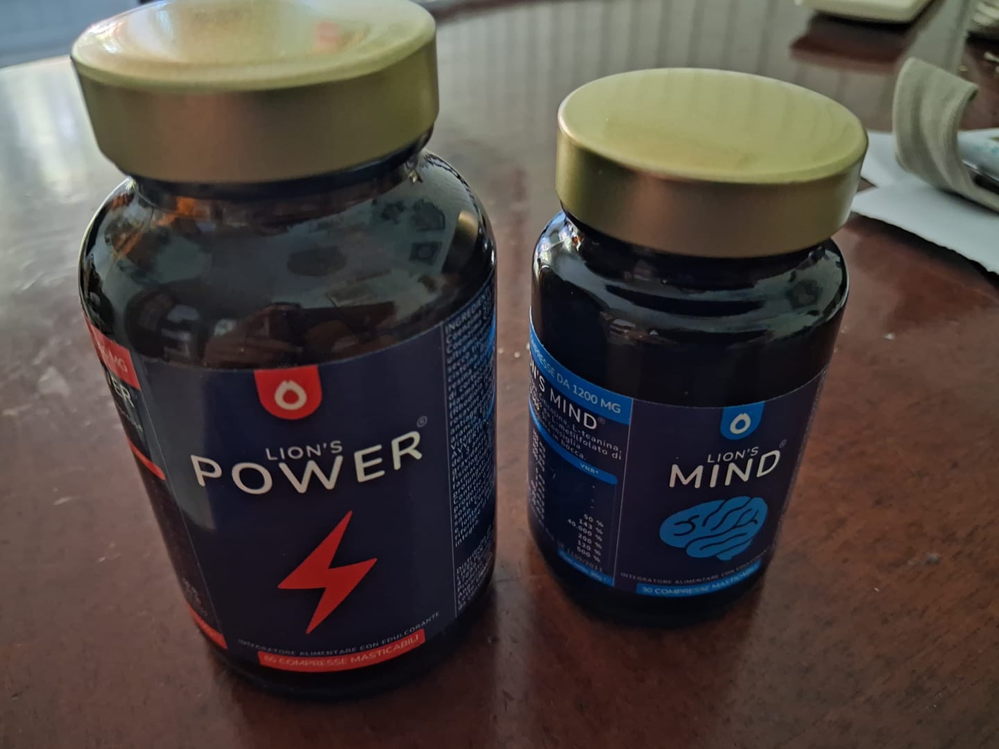Customer photo review of Lion's Mind